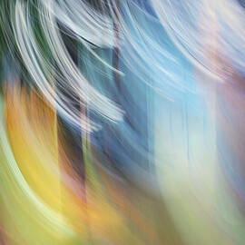 Gathering Colours by Ursula Abresch