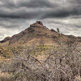 Gathering Storm in Big Bend National Park by Michael Collins