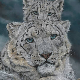 Generations by Mark Ray