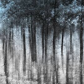 Ghost Forest by Ursula Abresch