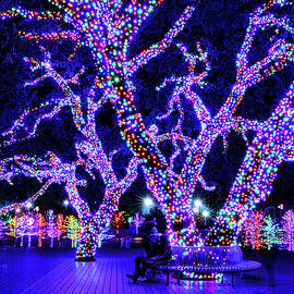 Ghosts of Christmas Past by KC Hulsman