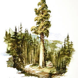 Giant Sequoia Tree by John Tayson