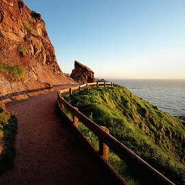 Giant's Causeway Cliff Path by Steven Nelson