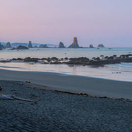 Giant's Graveyard on Washington Coast by Nancy Gleason
