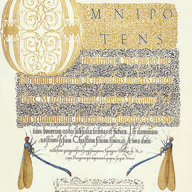 Gilded medieval calligraphy and illumination - Damselflies from Mira calligraphiae monumenta. by Moira Risen Prints