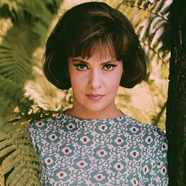 Gina Lollobrigida Strange Bedfellows 1965 Glamour  by Silver Screen