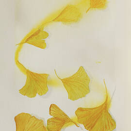Ginkgo Fall Sun by Elizabeth Reich