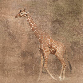 Giraffe 1A by Sally Fuller
