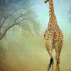 Giraffe Walking Tall in South Africa by Rebecca Herranen