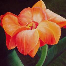 Gladiolus by Marlene Little