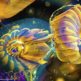 Glass Nebula by Steven Nelson