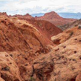 Go Climb a Rock by Alison Frank