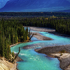 Goats and Glacier Lookout Icefield Parkway Canada by Tommy Farnsworth