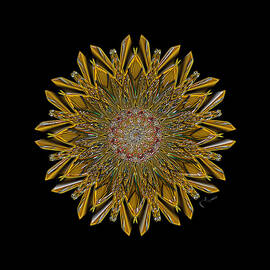 Gold Glass Star by David Manlove