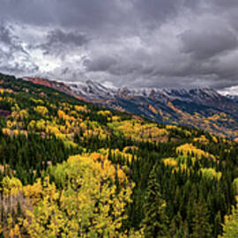 Gold Rush by Maryanne Keeling