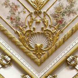 Golden Decoration  by Mary Lee Dereske