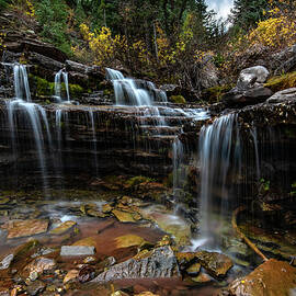 Golden Flows by Matt Halvorson