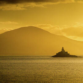 Golden Little Samphire Lighthouse by Mark Callanan