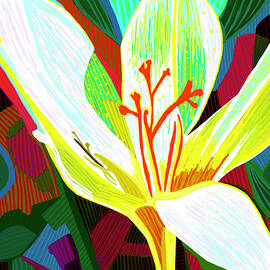 Golden Meadow Bloom by Rod Whyte