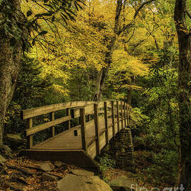 Golden Passage by Dodie Ross