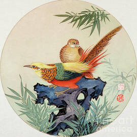 Golden Pheasant by Sun Chuanzhe