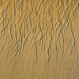 Golden Sand Patterns Abstract Coastal Wall Art by Rebecca Herranen
