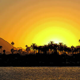Golden Sunset Over Palm Trees by Barbara Siegel