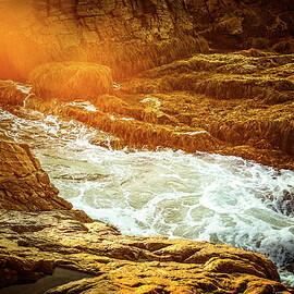 Golden Tide by Jeff Sinon