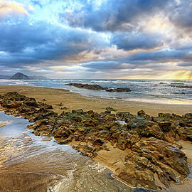 Golden Winter Storm by Beth Sargent