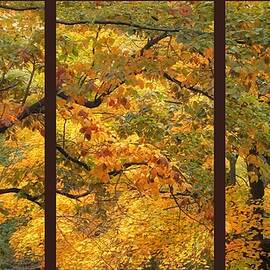 Autumnal Tapestry Triptych by Jessica Jenney