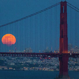 Goldie's Moon by Louis Raphael