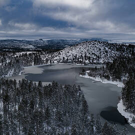 Goldwater Frozen No.2  by Matt Halvorson
