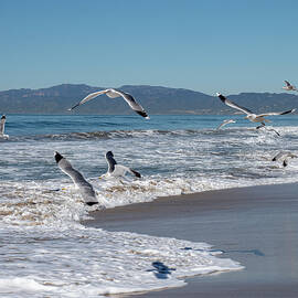 Gone Fishing by Joe Schofield
