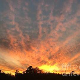 Good Evening Sunset by Catherine Wilson