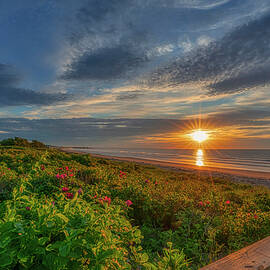 Good Morning Footbridge Beach by Penny Polakoff