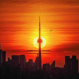 Good Morning, Toronto by DEE POTTER