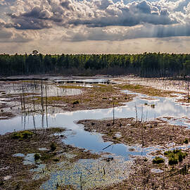 Goshen Pond Landscape by Louis Dallara
