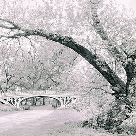 Gothic Bridge 28 by Jessica Jenney