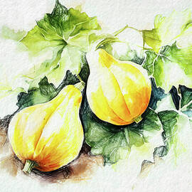 Gourds on vine watercolor by Tatiana Travelways