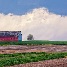 Grace Between the Storms by Kevin Schwalbe