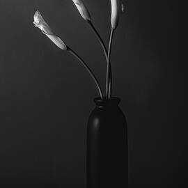 Grace of a Calla Lily by Dodie Ross