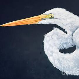 Graceful Egret Portrait by Lucia Stewart