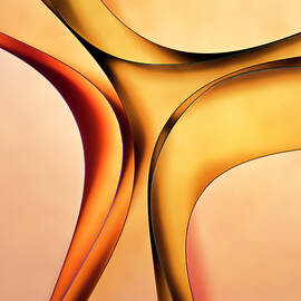 Graceful - Paper Abstract by Elvira Peretsman