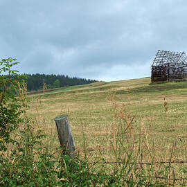 Granary Skeleton British Columbia by Mary Lee Dereske