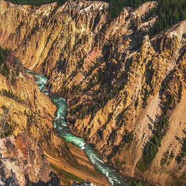 Grand Canyon of the Yellowstone, Wyoming by Abbie Matthews