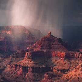 Grand Canyon Rainfall, Arizona - Vertical by Abbie Matthews