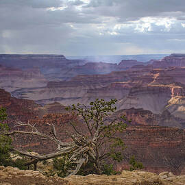 Grand Canyon Yavapai Point Storm Light by Rebecca Herranen