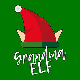 Grandma Elf Christmas Costume by Flippin Sweet Gear
