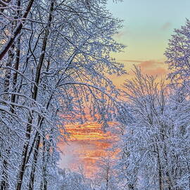 Granite Peak's Elk Run At Sunset by Dale Kauzlaric