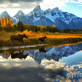 Grand Teton National Park Autumn Stroll by Adam Jewell